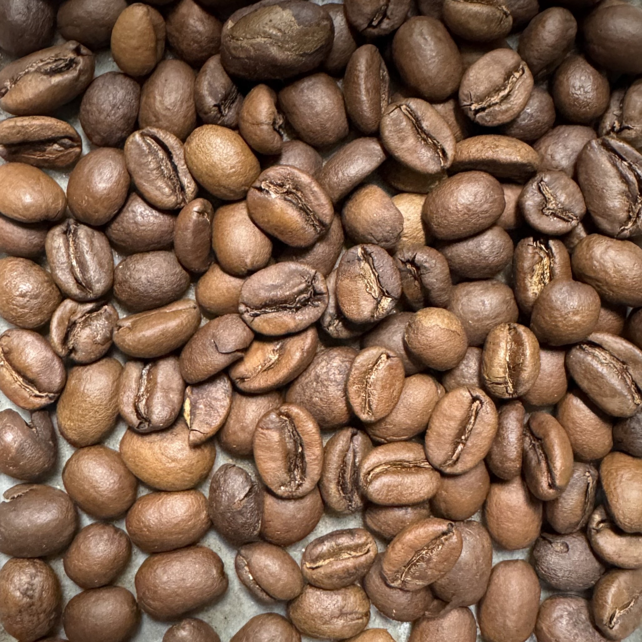 에티오피아 아리차