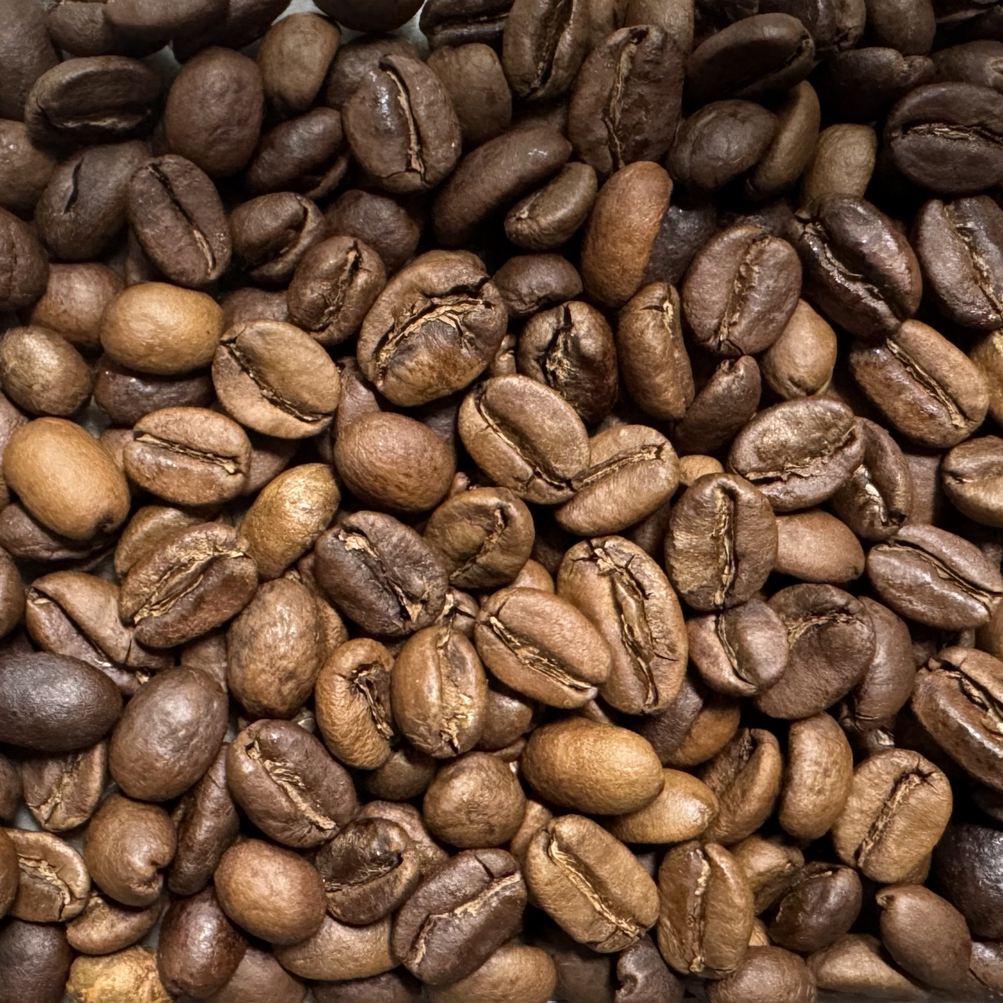 에티오피아 워카