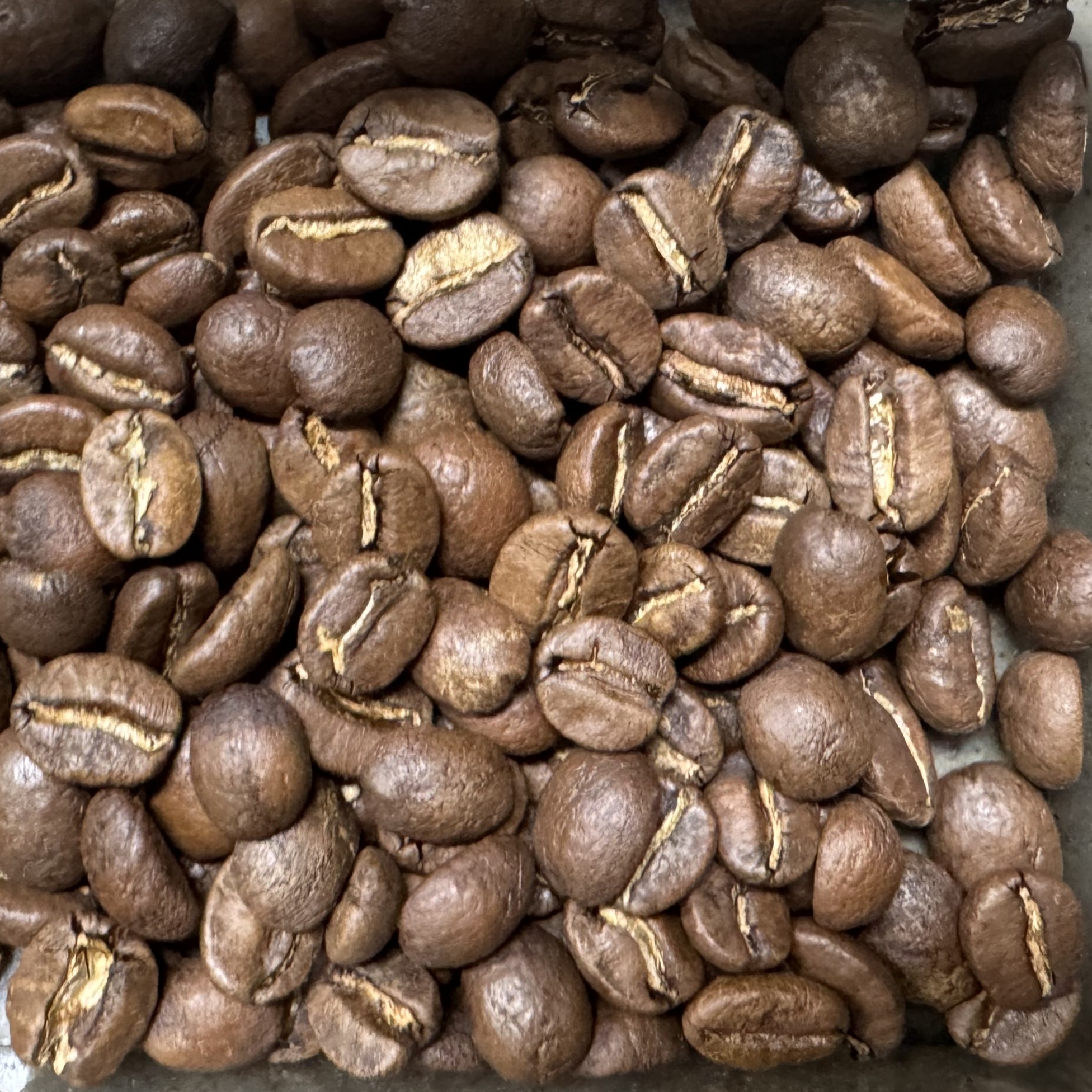 콜롬비아 수프리모